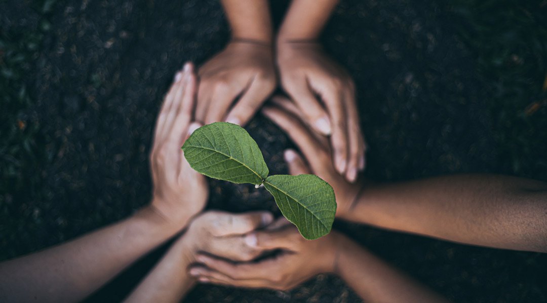 İklim Değişikliğiyle Mücadelede Umutlu Olmak İçin 5 Neden