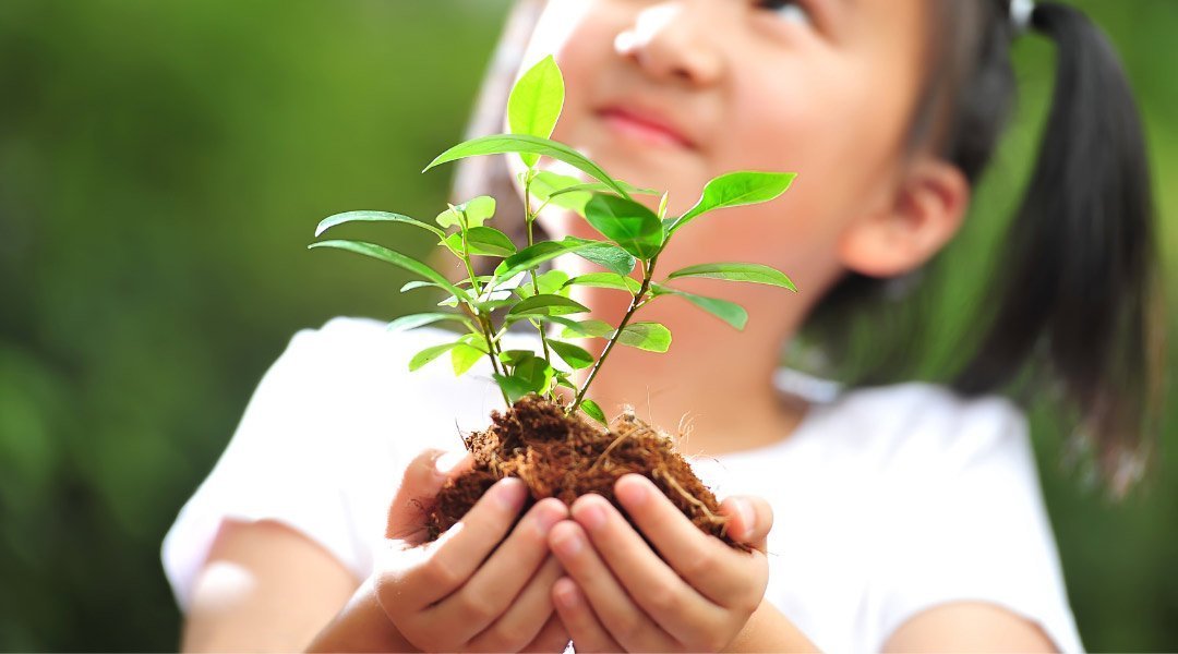 İklim Değişikliği ile İlgili Doğru Bilinen Yanlışlar