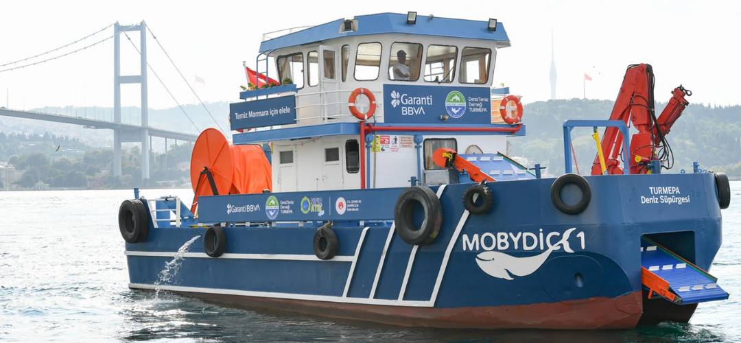 Dünya’nın Oksijen Kaynakları: Oksijen Üreten Canlılar