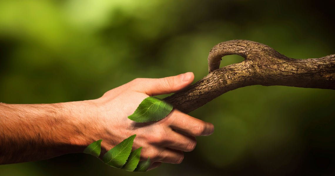 İklim Değişikliğiyle İlgili Bilmeniz Gereken 7 Kavram