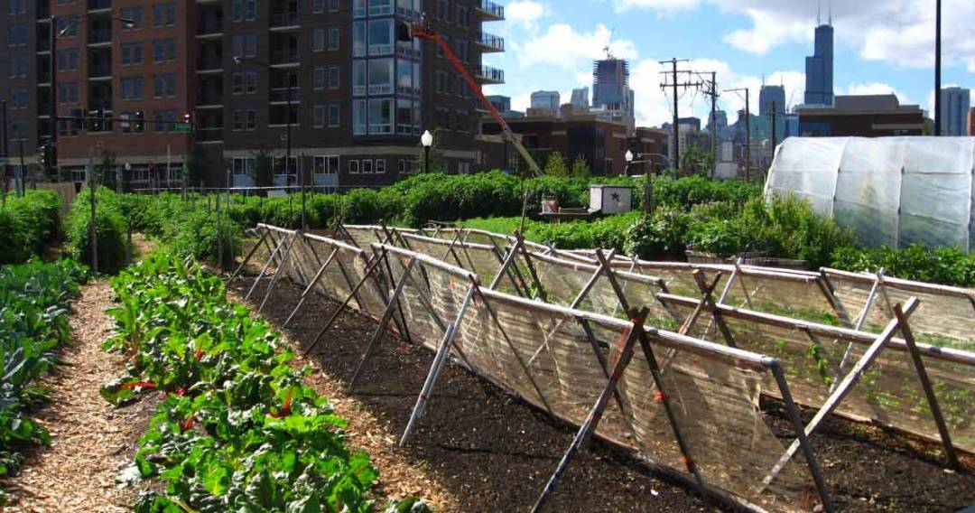 Geleceğin Yeşil Meslekleri Neler Olacak?