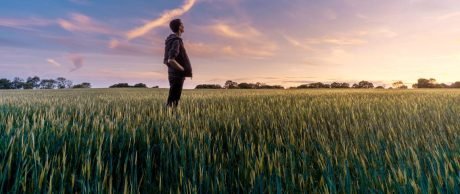 Topraktan Sofralarımıza: Yapay Zekanın Gıda Üzerindeki Etkisi