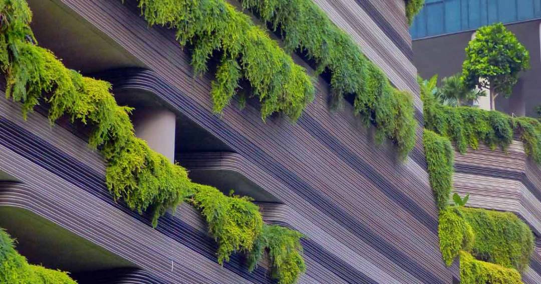 Geleceğin Yeşil Meslekleri Neler Olacak?