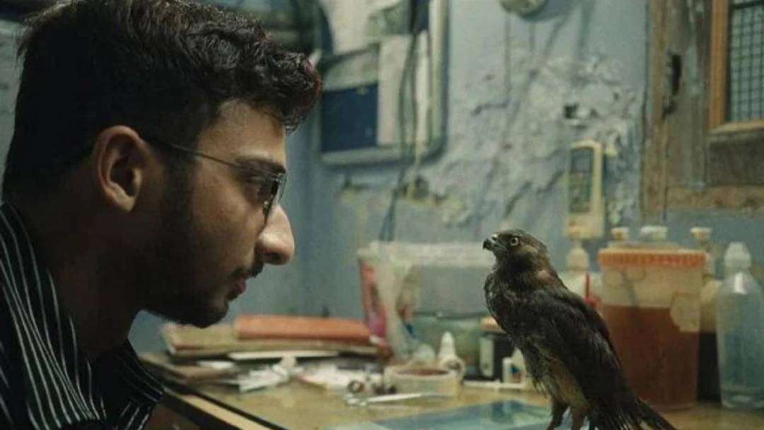 2023 Oscar Ödülleri Sahiplerini Buluyor