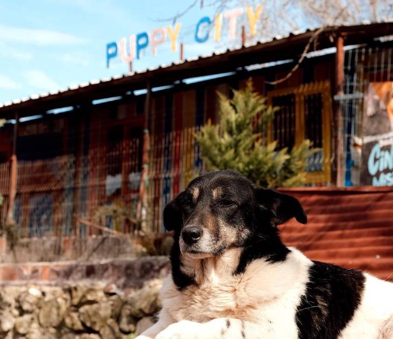 Gerçek Gündem Deprem: Local Makers Dayanışma Ağı