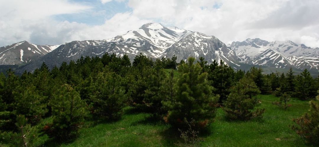 doğada kamp alanı