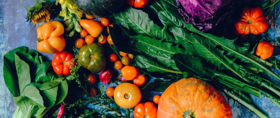 Bitkisel Bazlı Beslenme Nedir?