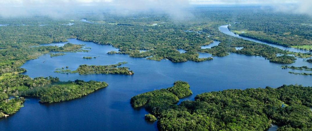 Amazon Ormanları İyileşiyor