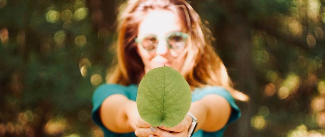 Ekolojik Zeka Nedir?