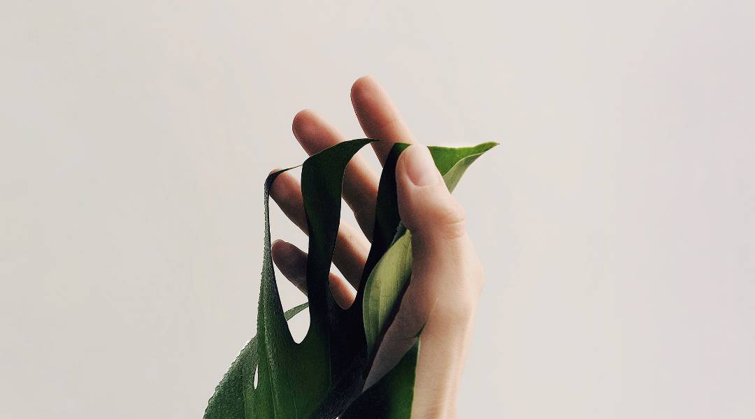 Minimalist Yaşama Geçiş İçin 7 İpucu