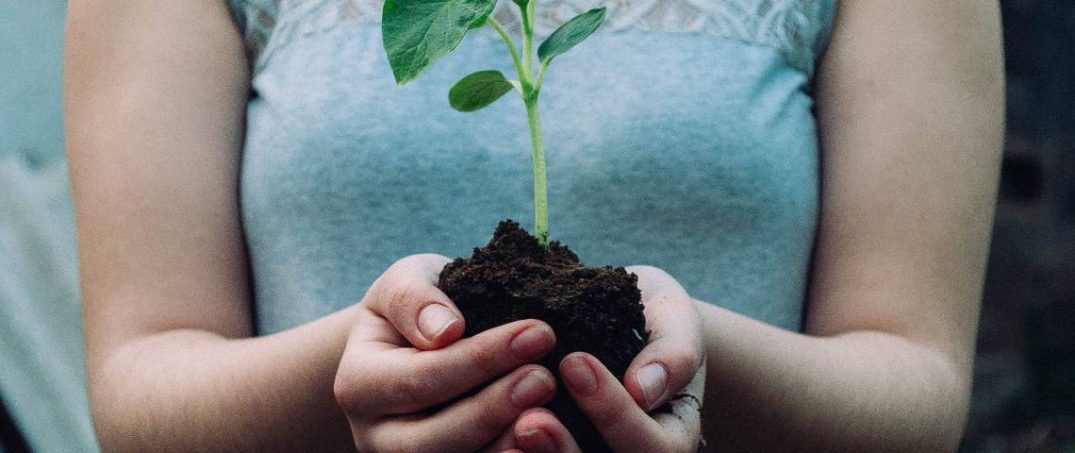 Sürdürülebilirliğin Tarihi