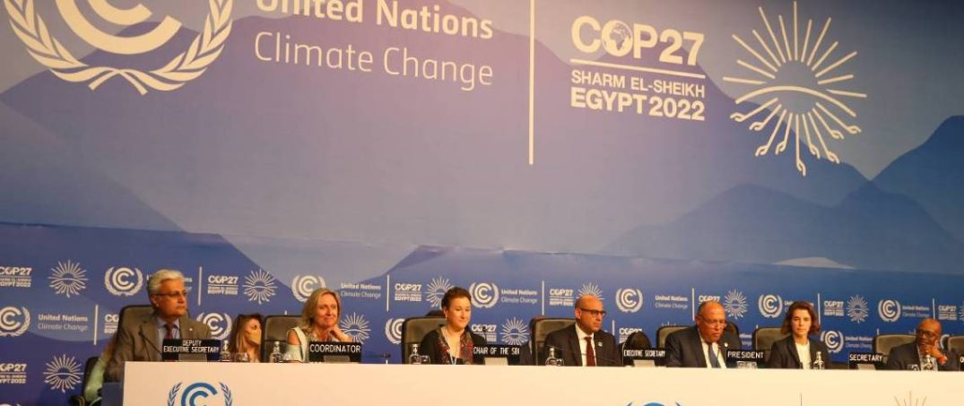 Türkiye ve Avustralya COP31 İçin Yarışıyor