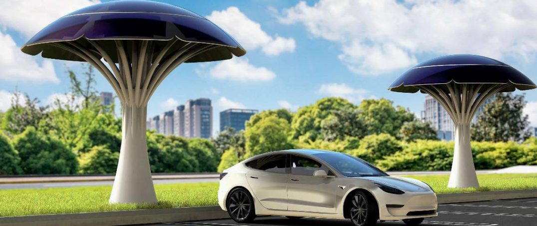 Geleceğin Enerji İstasyonları: Güneş Ağaçları