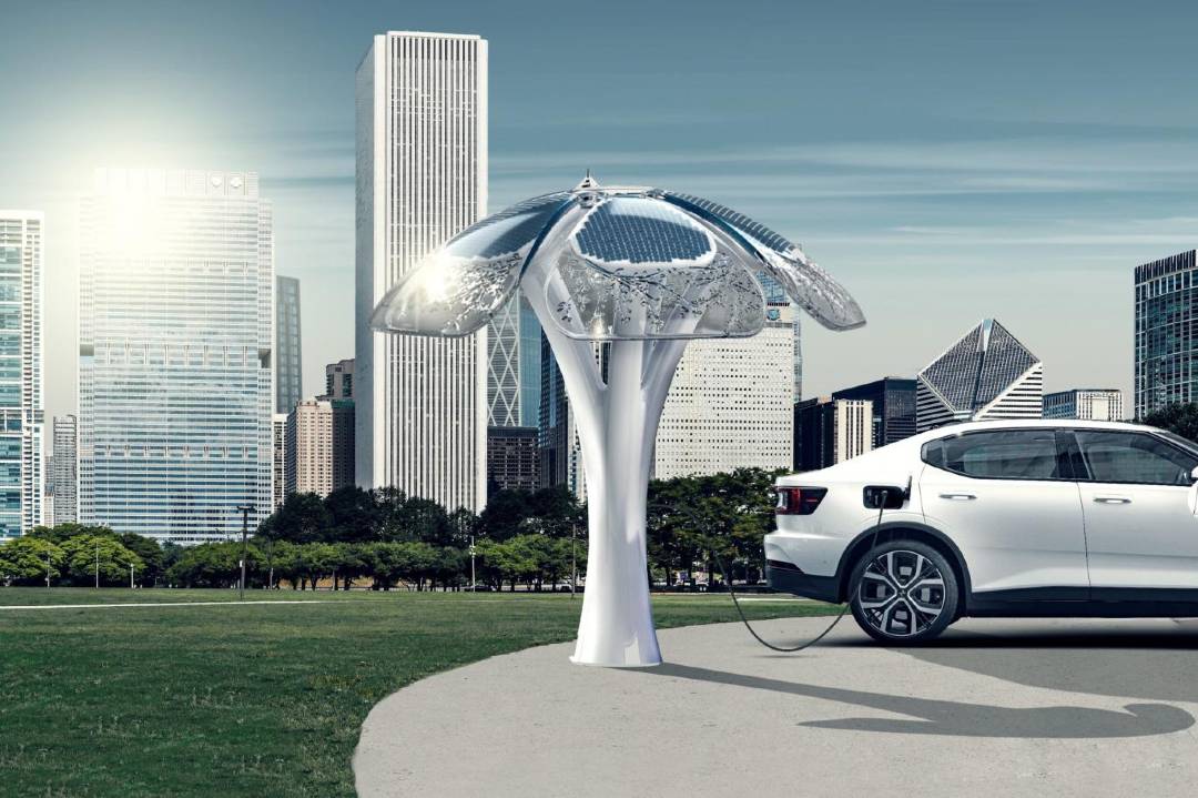 Geleceğin Enerji İstasyonları: Güneş Ağaçları