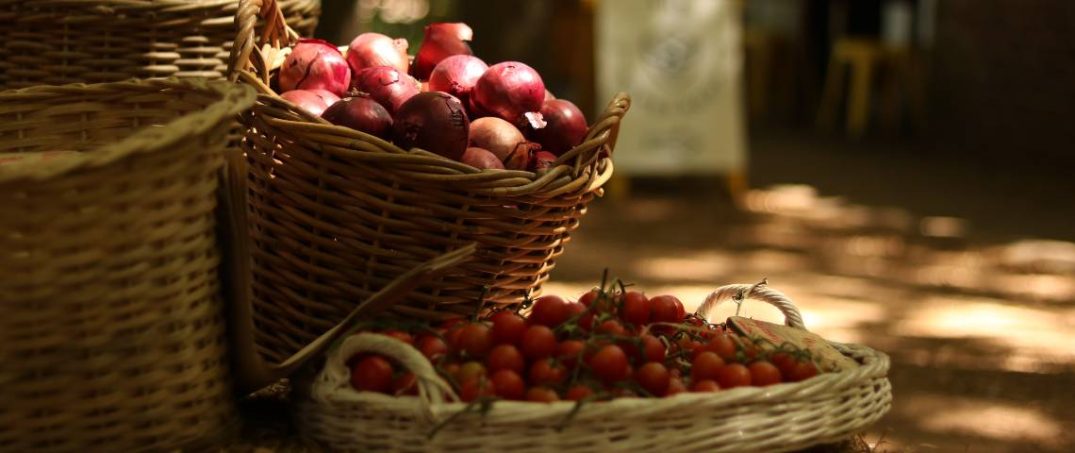 İklim Değişikliğinden Hangi Gıdalar Etkilenecek