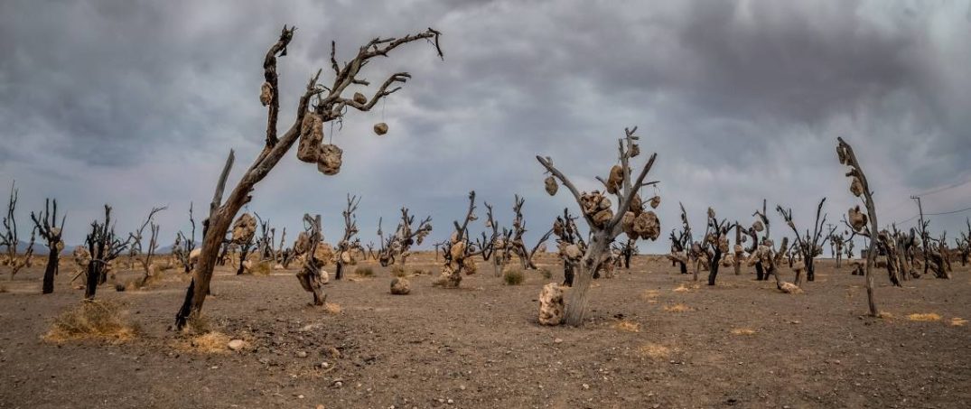 Kuraklık Krizi İran'ı Vurdu