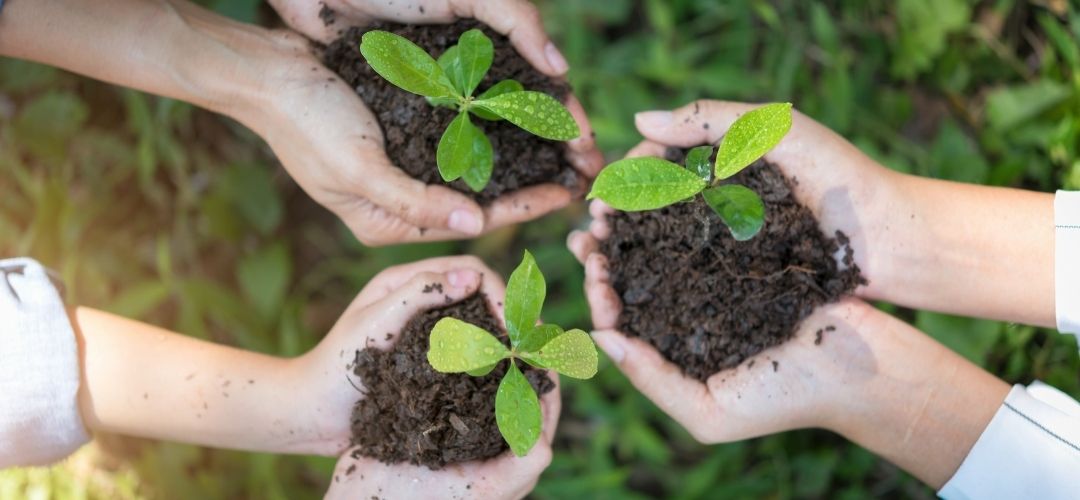 buğday derneği otel