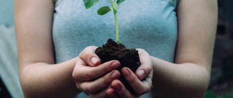 Toprak Sağlığı İnsan Sağlığını Etkiliyor