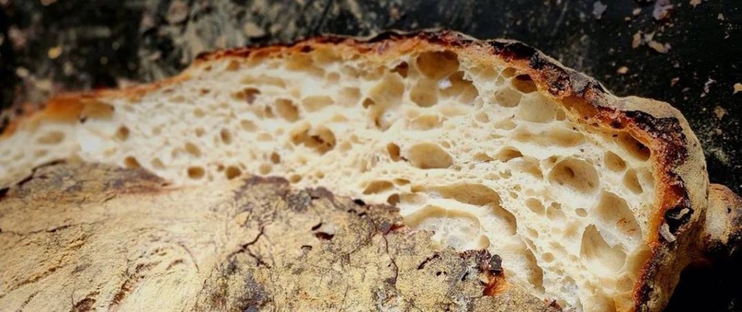 Emek ve Sabır Ürünü: Ekşi Maya Üzerine Bir Söyleşi