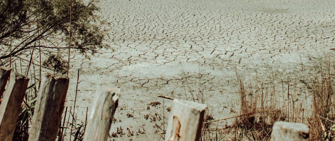 İstanbul Barajları Alarm Veriyor: Kuraklık Kapıda