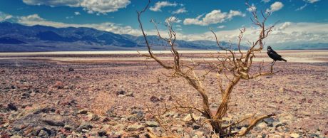 İstanbul'da Su Tüketimi Rekoru Kırıldı