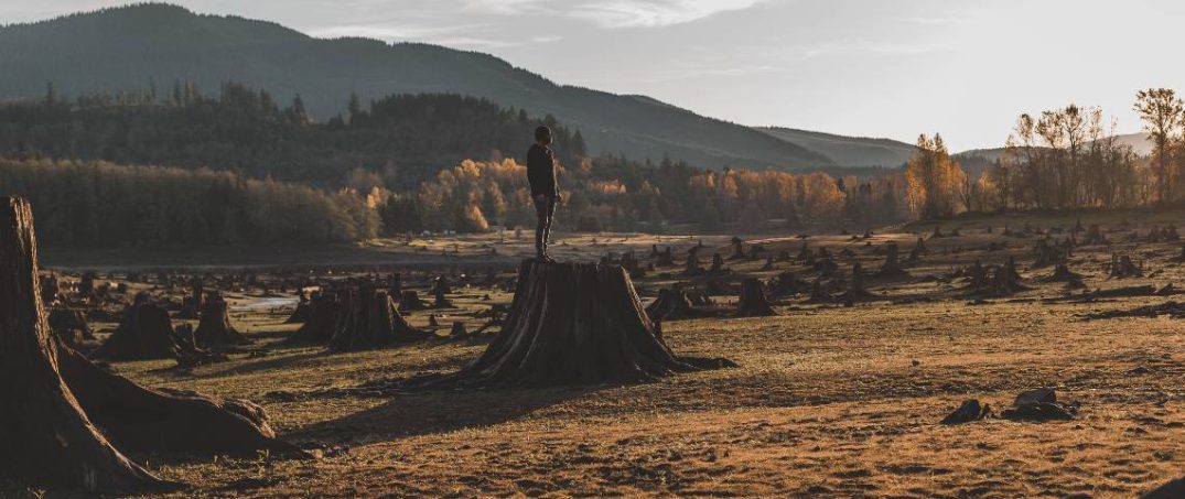 Liderler Amazon Ormanlarının Korunması Konusunda Anlaşamadı