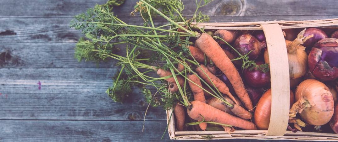 Küresel Isıtma Gıda Tedariğini Tehdit Ediyor