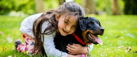 Aşırı Sıcak Havalarda Evcil Hayvanlar İçin Ne Yapılmalı?