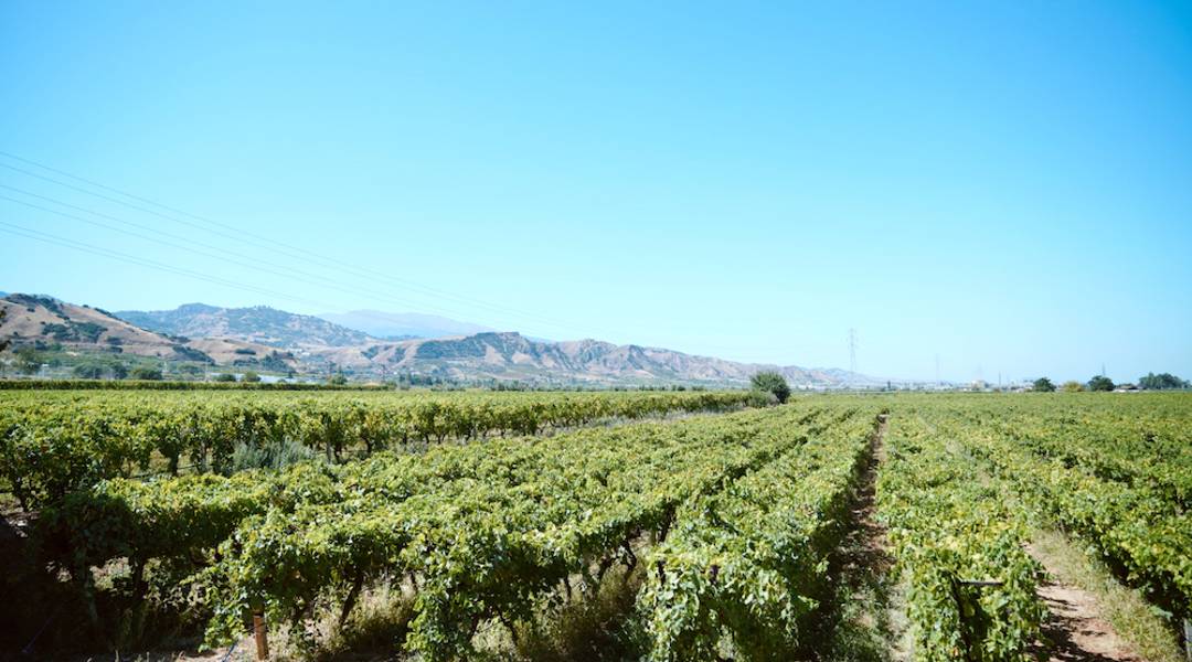 Derin Duygu Bağları ve Yüksek Deneyime Doğru Yeni Yolculuk