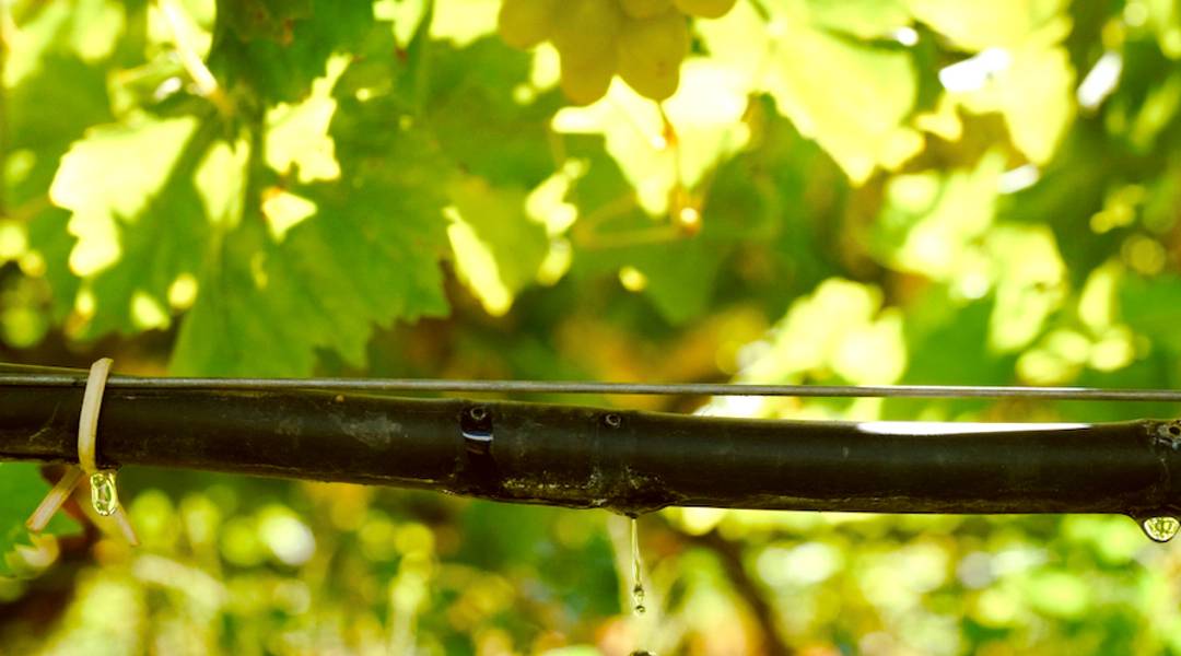 Derin Duygu Bağları ve Yüksek Deneyime Doğru Yeni Yolculuk