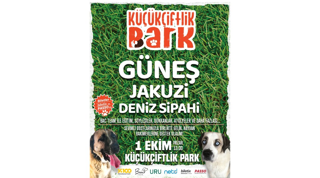 Köpek Eğitiminde Bir Tutku: Berker Arslan ve Bac Team'in Hikayesi