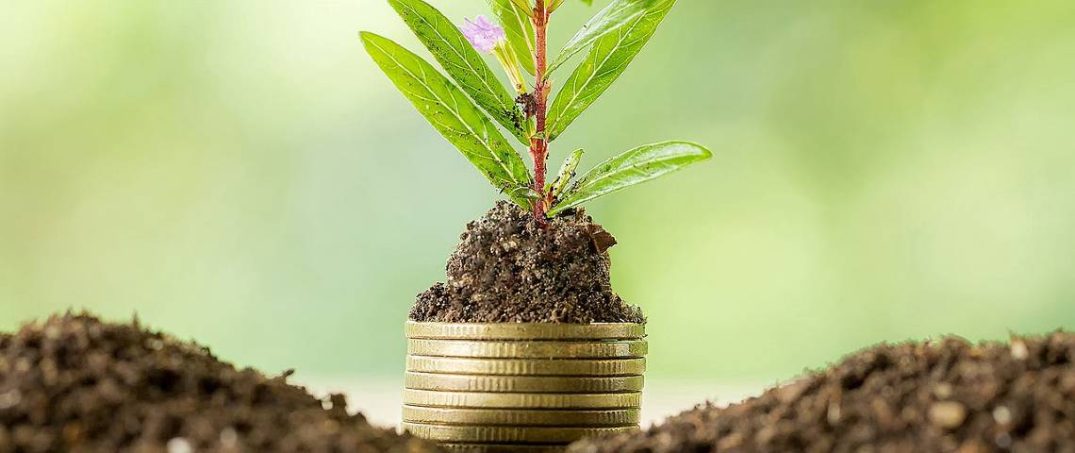 Döngüsel Ekonomi Nedir, Faydaları Nelerdir?