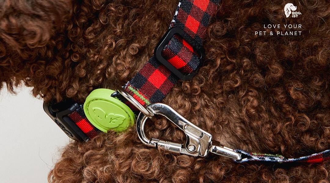 Türkiye'den Sürdürülebilir ve Doğa Dostu Markalar