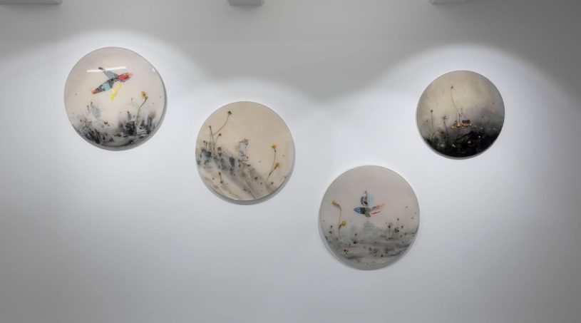 ekin su koç venüsün yeniden doğuşu