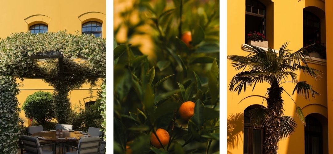 Four Seasons Avlu Sultanahmet tarihi avlusunda açık hava restoran