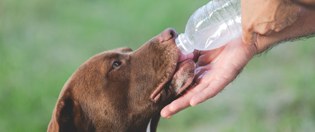 iklim değişikliği