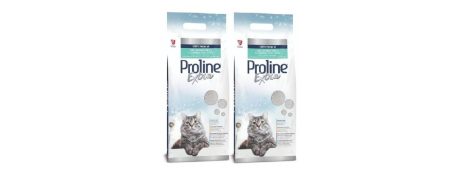 kedi kumu önerileri