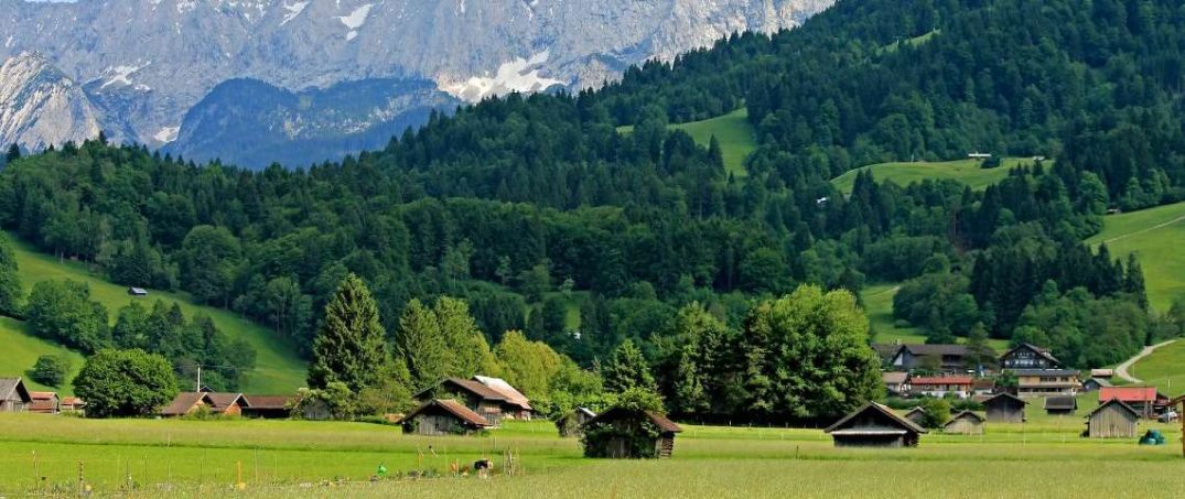 köy ve kent karşılaştırması