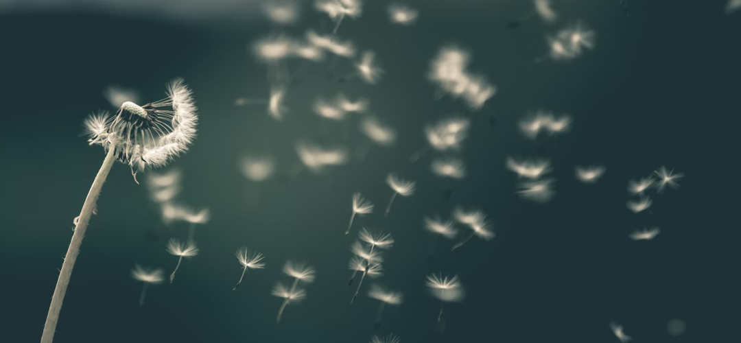 bahar alerjisi için doğal yöntemler