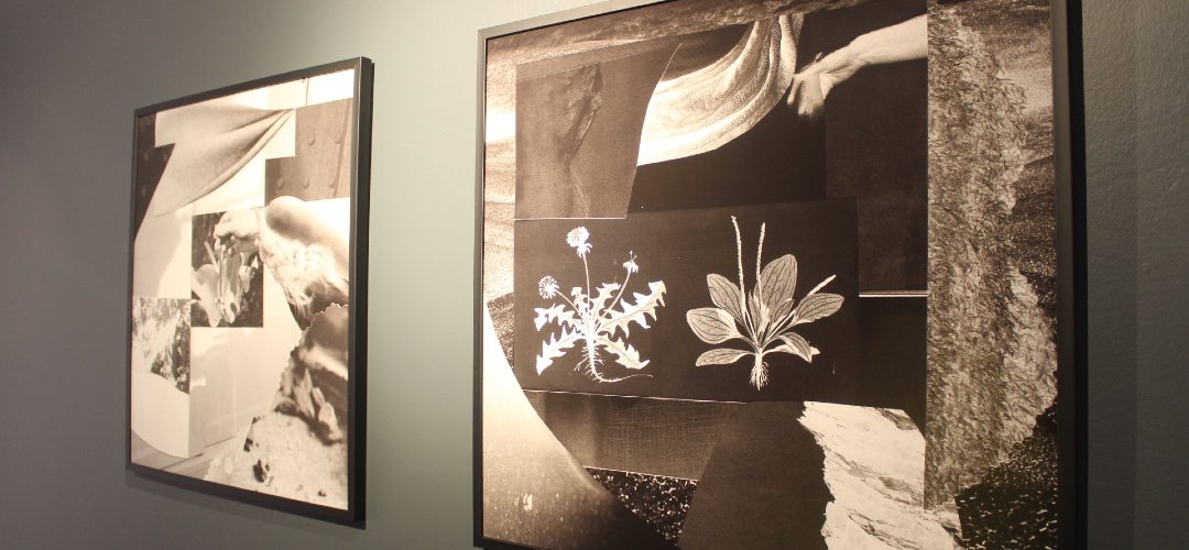 venüs saat yönünde döner