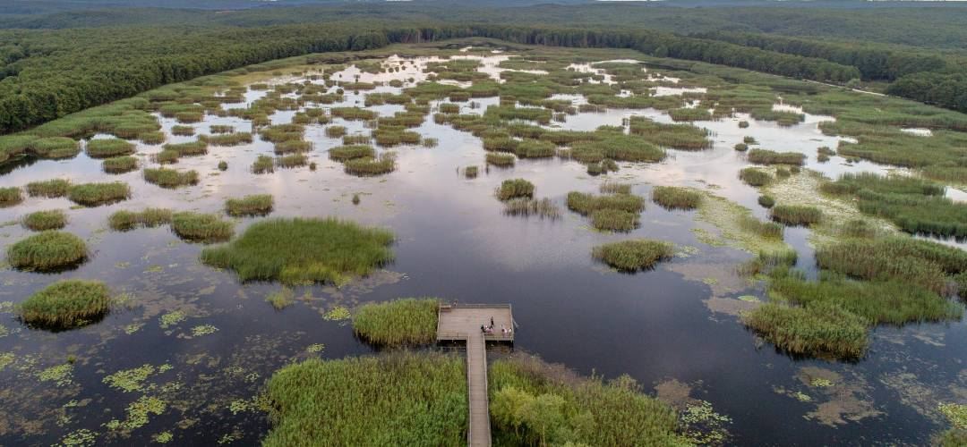 istanbul piknik alanları