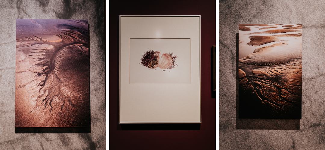 Melike Abasıyanık Kurtiç