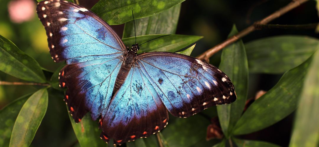 istanbul date etkinliği