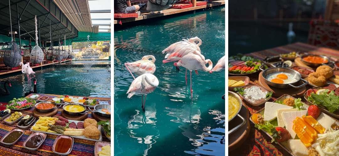 istanbul flamingo kahvaltı