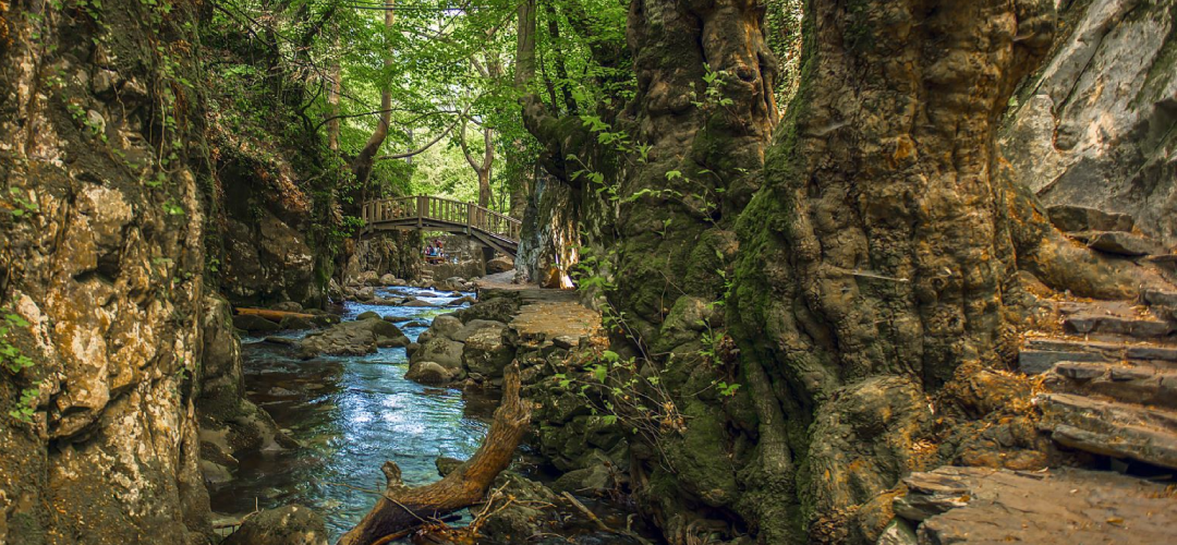 çanakkale kamp alanları kaz dağları