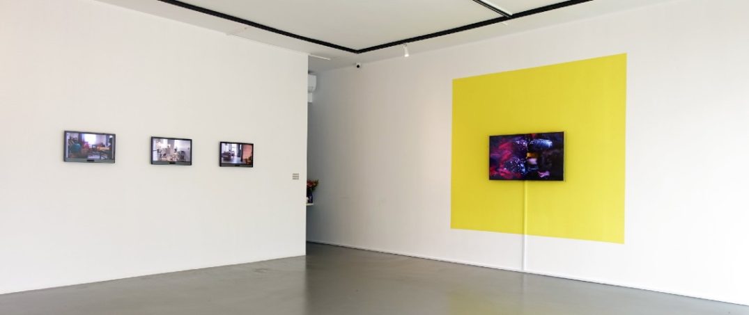 parça parça sergisi