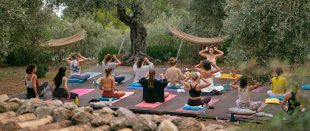 sağlıklı yaşam kampları