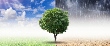 iklim değişikliği etkileri