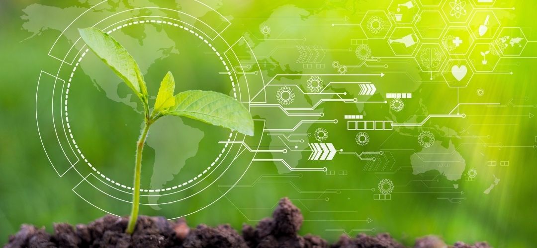 sürdürülebilir tarım