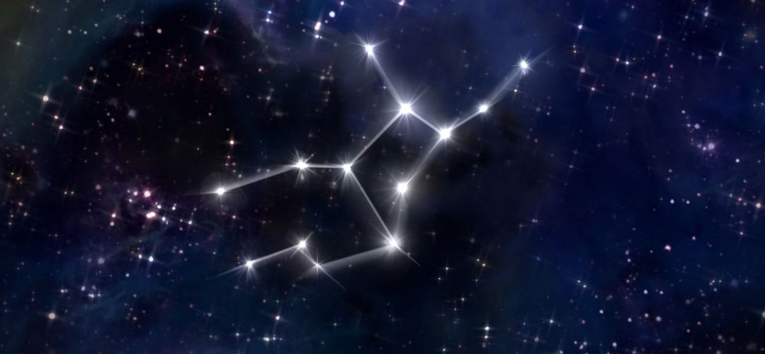 başak burcu ünlüler